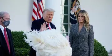 Donald Trump oficializó este martes el tradicional indulto anual a un pavo