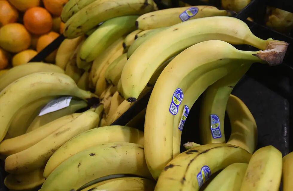 Bolivia y Paraguay reclaman una deuda superior a los U$S20 millones por el envío de frutas a la Argentina.