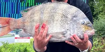 Un pescador marcó un nuevo récord mundial luego de capturar una particular especie de pez que tiene “dientes humanos”