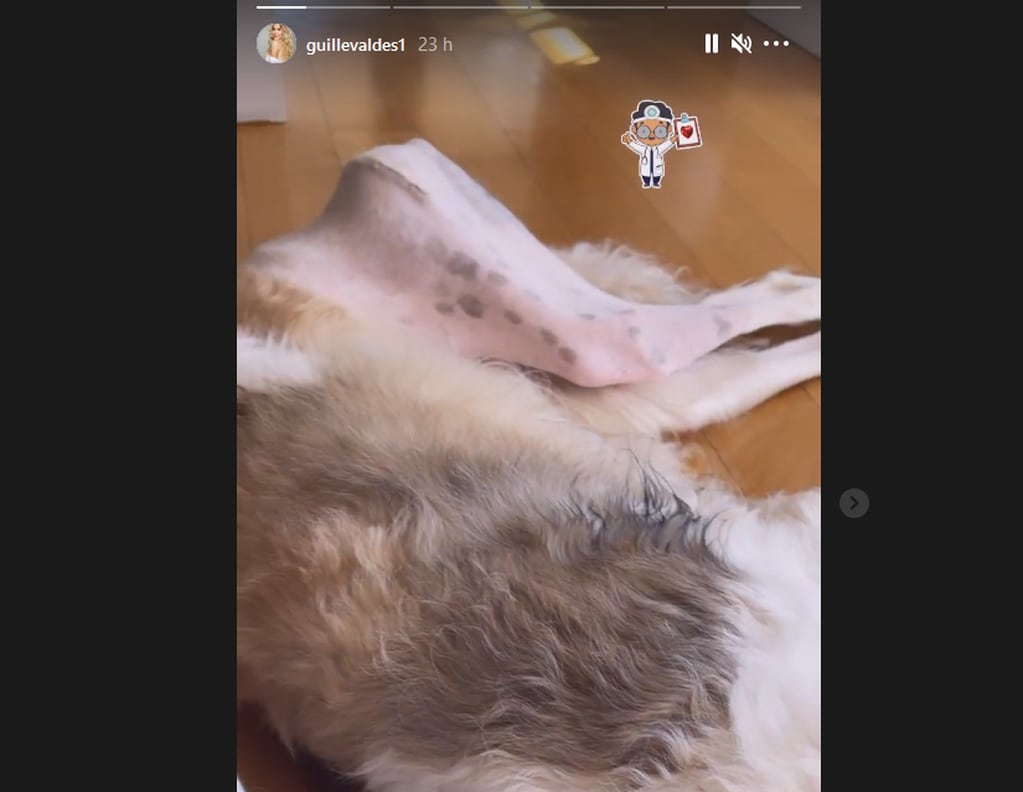 Captura video compartido por Guillermina Valdes sobre la operación de su perro