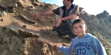 Un niño encontró restos fósiles de un perezoso gigante de hace 100 mil años