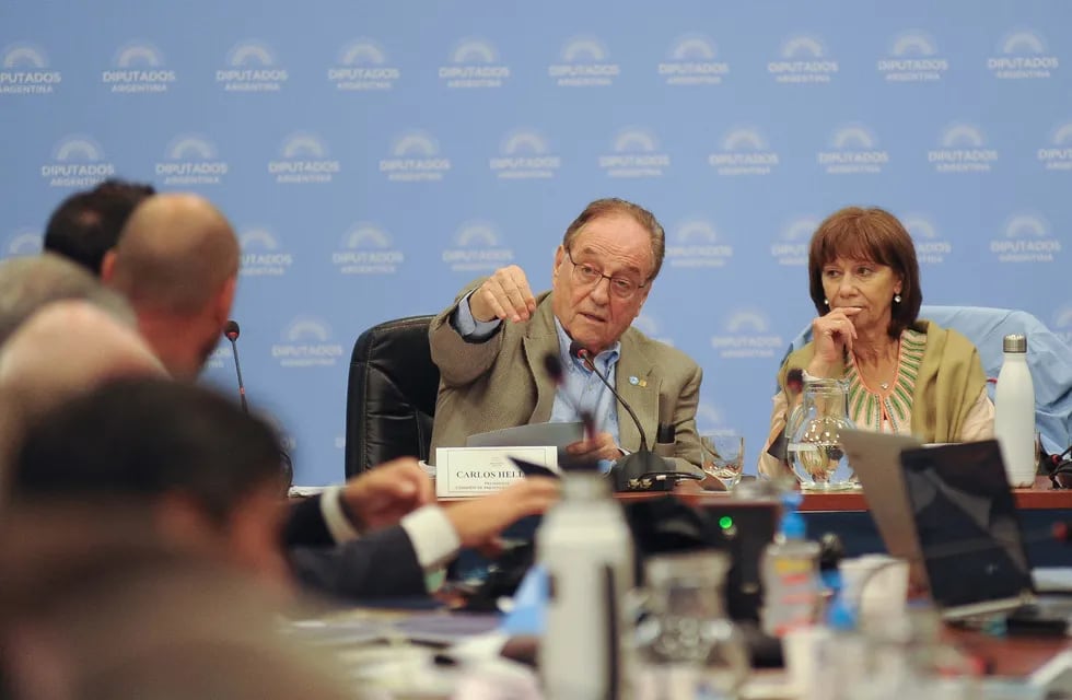 Diputados debaten el acuerdo con el FMI. (Federico López Claro)