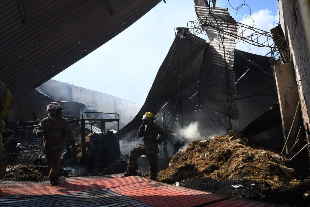 Varias dotaciones de bomberos trabajaron para apagar un incendio en un galpón de una fábrica en Rodeo de la Cruz, en Guaymallén.