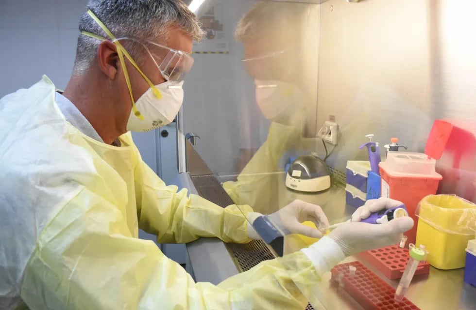 Analizan habilitar en Mendoza un laboratorio para el virus