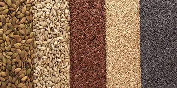 La moda de las semillas ha llegado para quedarse, ¿Cuáles aportan mayores beneficios? ¿Cómo incluirlas en la dieta? 