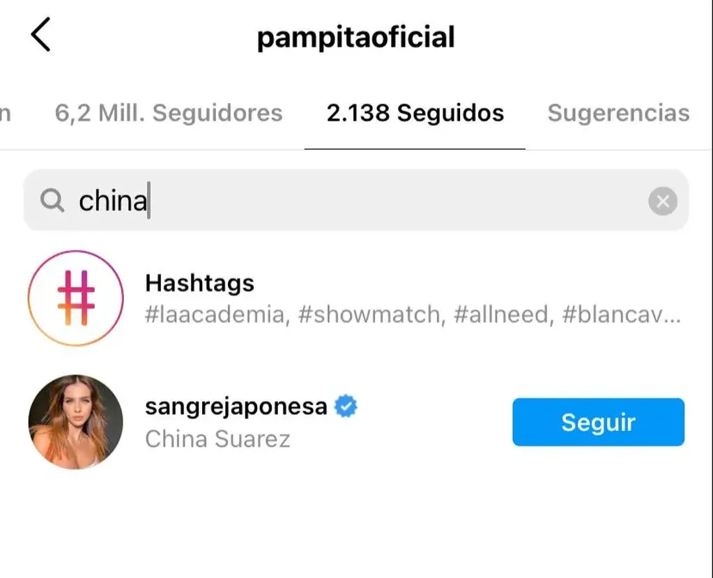 Pampita y la China Suarez se siguen en Instagram