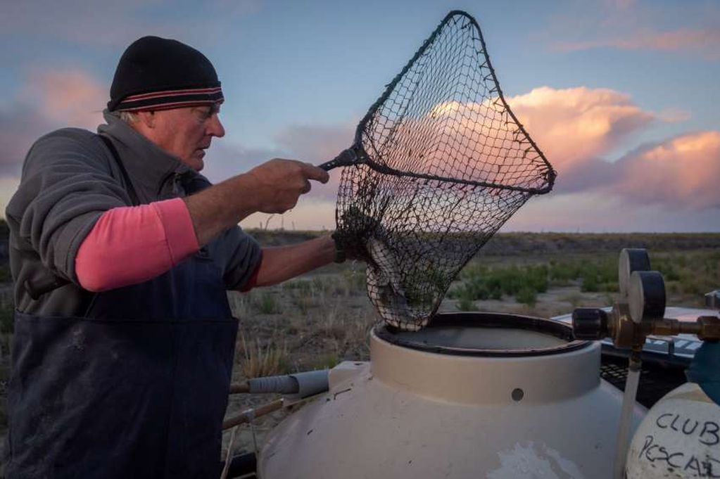 Laguna de las Salinas, de dónde se rescataron más de 1.000 peces, está casi desaparecida por la sequía . Foto: Ignacio Blanco / Los Andes.   