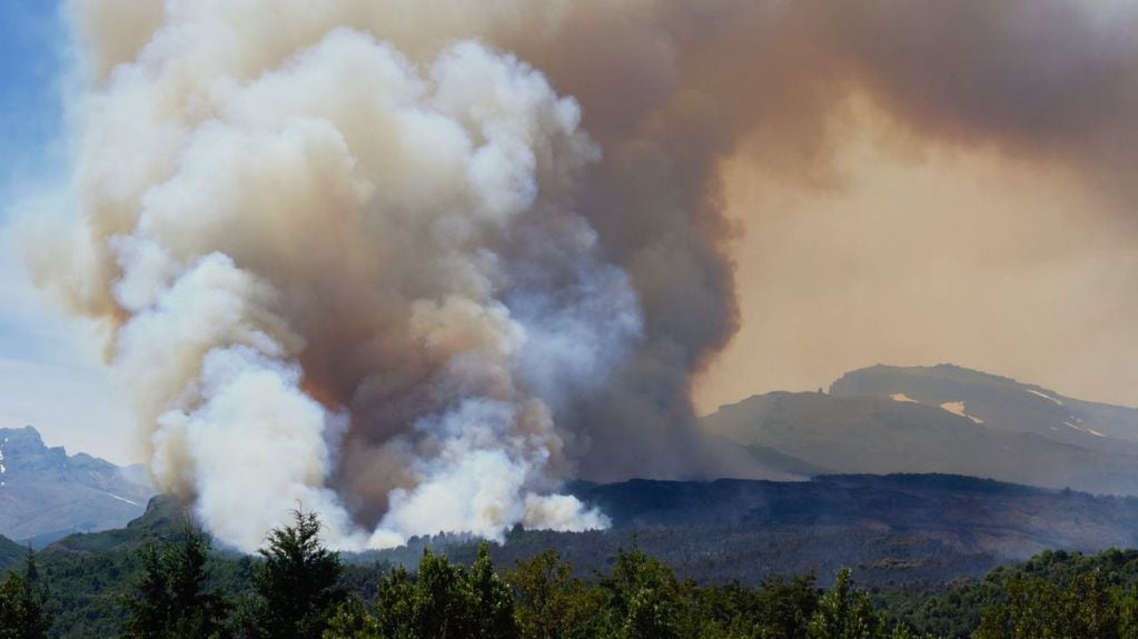 El incendio en el Parque Nacional Los Alerces.