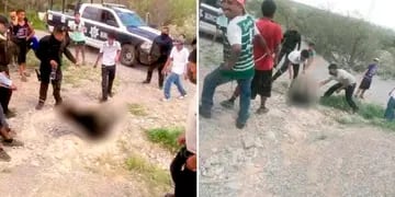 Indignación en México: un grupo de personas torturó y mató a una cría de oso en peligro de extinción
