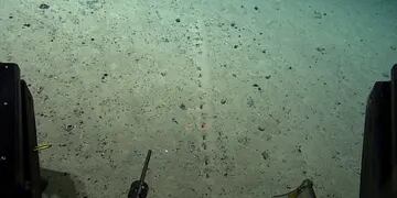 descubrieron unos misteriosos agujeros en el fondo del mar