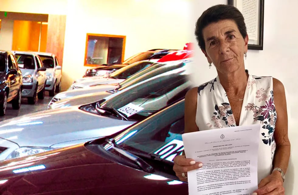 Patricia Vázquez presentó un proyecto de ley para reducir los costos por transferencia y patentamiento de vehículos.