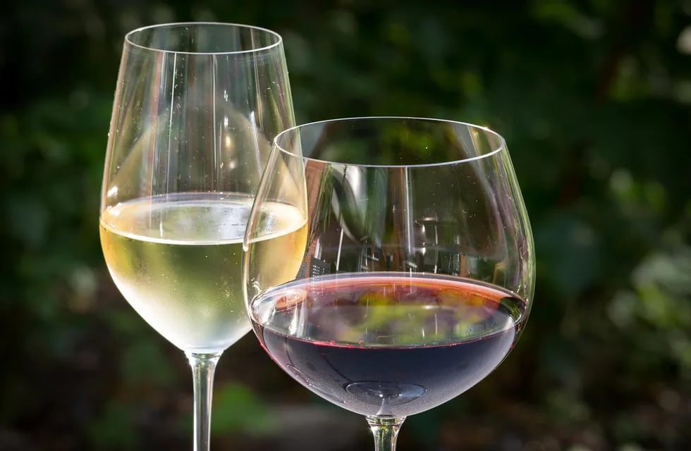 El precio del vino aumentó casi un 300% en el último año. Cómo impactó en el consumo y qué pasó con las bebidas sustitutas.