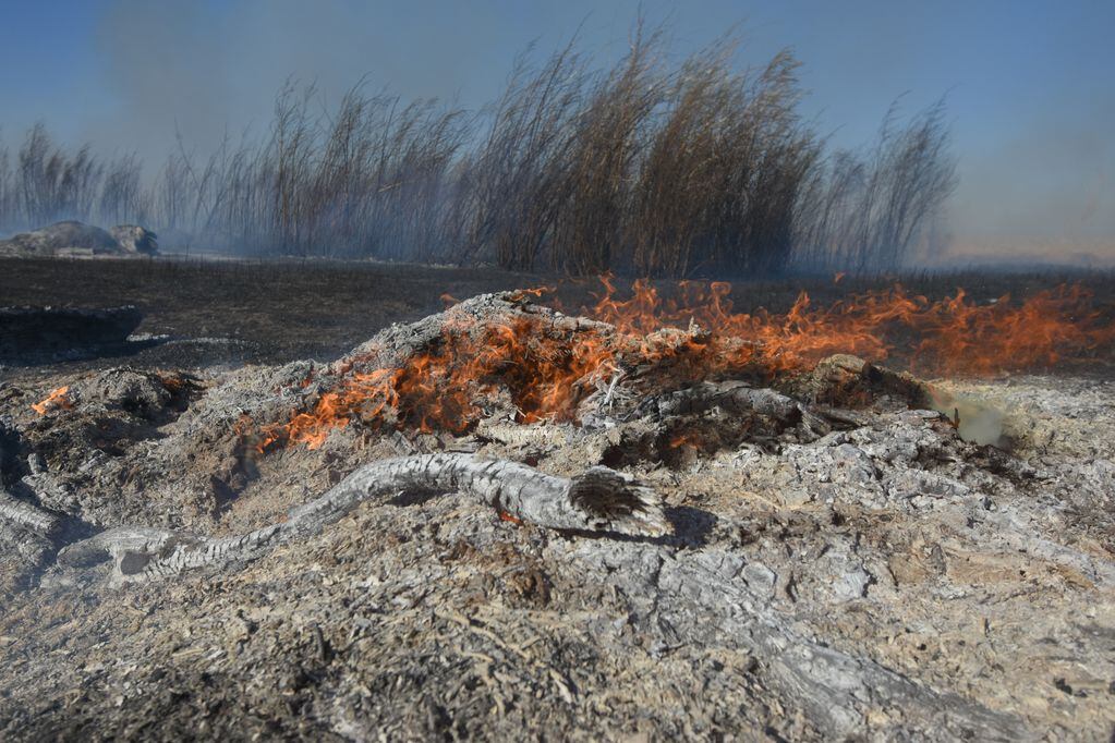 Cientos de hectáreas se quemaron en los últimos días en varios departamentos de Mendoza.