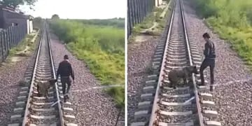 Video: un maquinista rescató a un perro atado en las vías del tren en Chaco