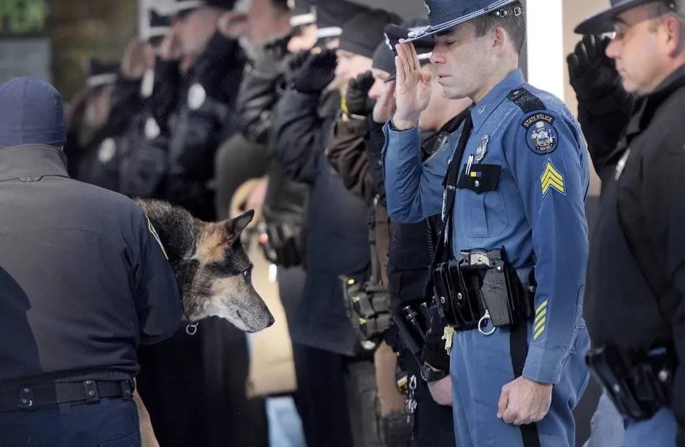 Video: la emotiva despedida a un perro policía antes de ser sacrificado