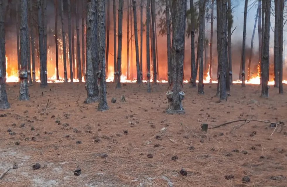 Incendios en Corrientes. (Clarín)