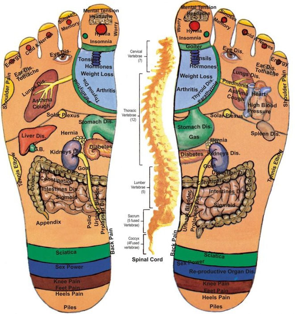 El pie es considerado un mapa del resto del cuerpo y de los órganos