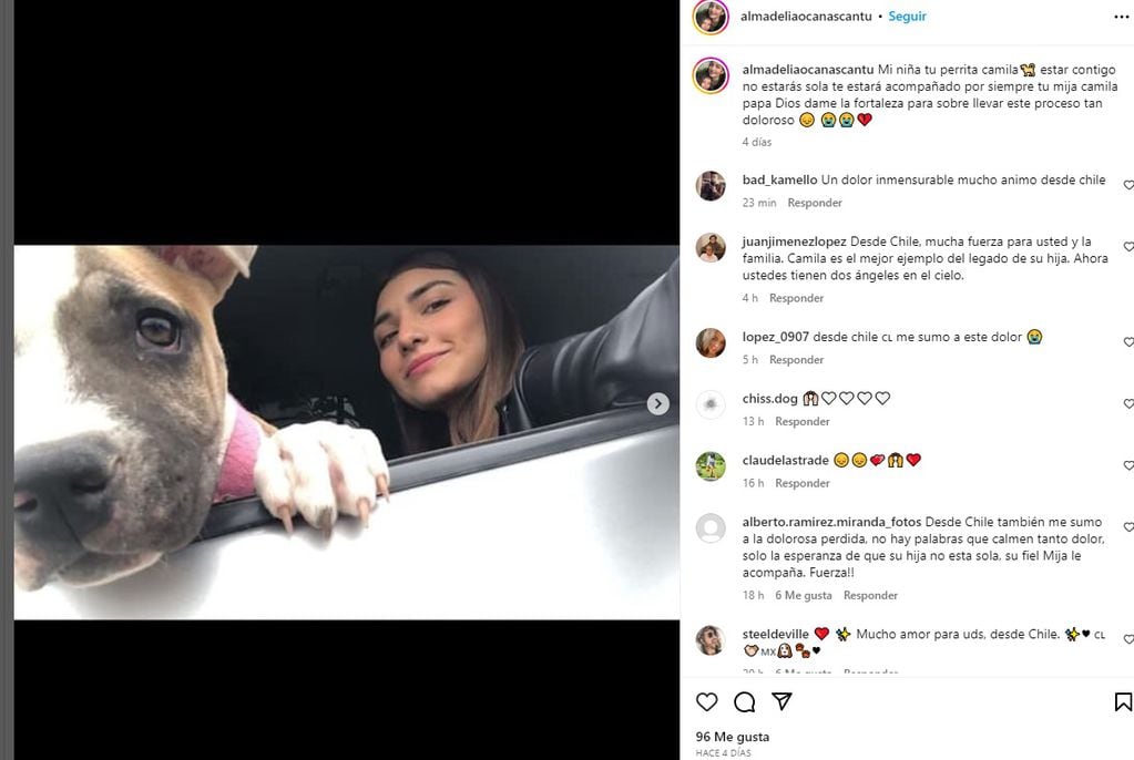Camila, la perrita que murió de pena dos días después que su dueña Alma (Instagram)