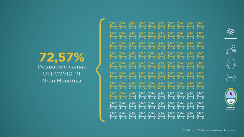 Informe sobre la situación sanitaria de Mendoza en pandemia del 13 al 19 de noviembre de 2020.