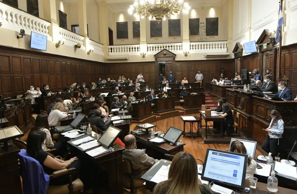 El Senado aprobó el proyecto de Boleta Única, ahora la Cámara de Diputados deberá convertirlo en ley. Foto: Orlando Pelichotti / Los Andes