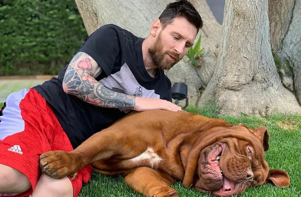 Lionel Messi y Hulk, el perro que atraviesa un delicado estado de salud.