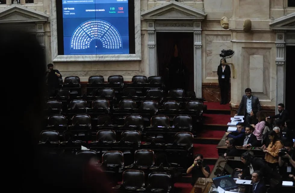 La sesión en Diputados fracasó por falta de quórum (Foto: Federico López Claro)