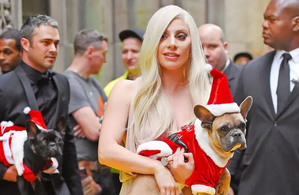 Lady Gaga recuperó a sus perros sanos y salvos.