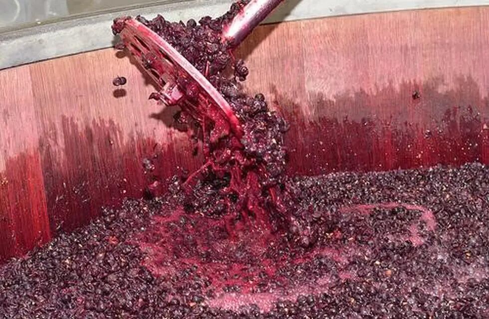 Desde el Banco de Vinos afirman que, en caso de prosperar la sanción, el mosto no exportado a Estados Unidos incrementaría el stock vínico en 100 millones de litros por año.