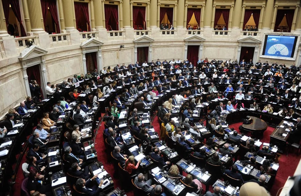 Tras un debate de casi 20 horas, Diputados aprobó la “ley bases”  (Federico López Claro)