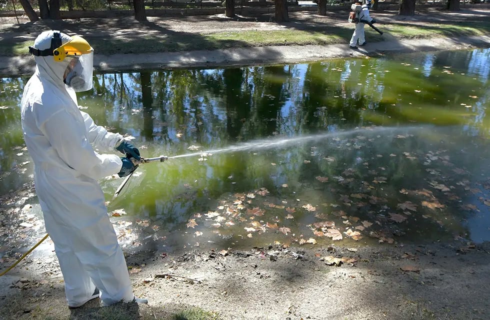 Personal de Zoonosis de Guaymallén desinfectando para evitar la propagación del mosquito Dengue en el lago de Bandera de los Andes y Urquiza. Archivo - Foto : Orlando Pelichotti