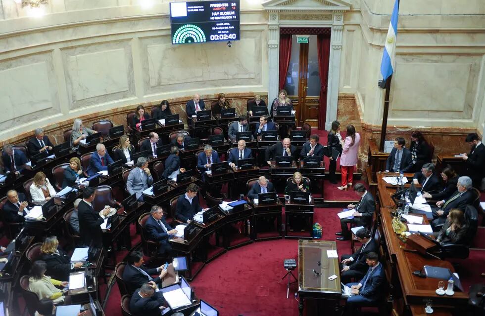 Senado Argentina - Foto Federico Lopez Claro