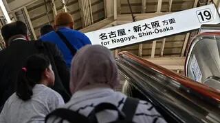 Una serpiente interrumpe el servicio de los trenes de alta velocidad en Japón