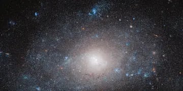 El telescopio Hubble observa una galaxia en el "lado oscuro"