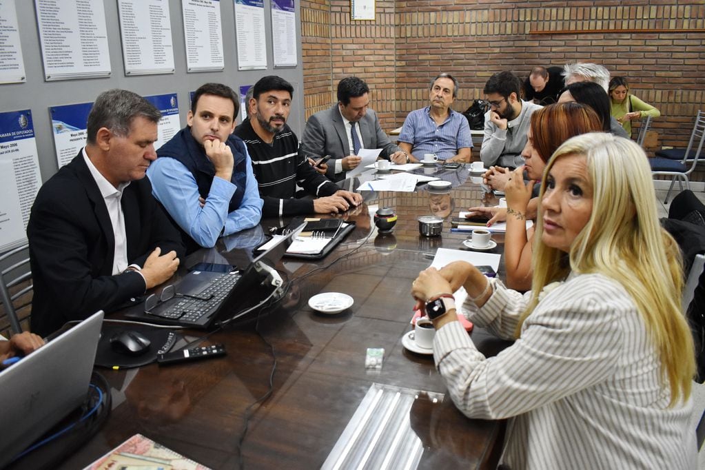 La Comisión de LAC dio despacho favorable al desafuero de Janina Ortiz. Foto: Prensa Diputados