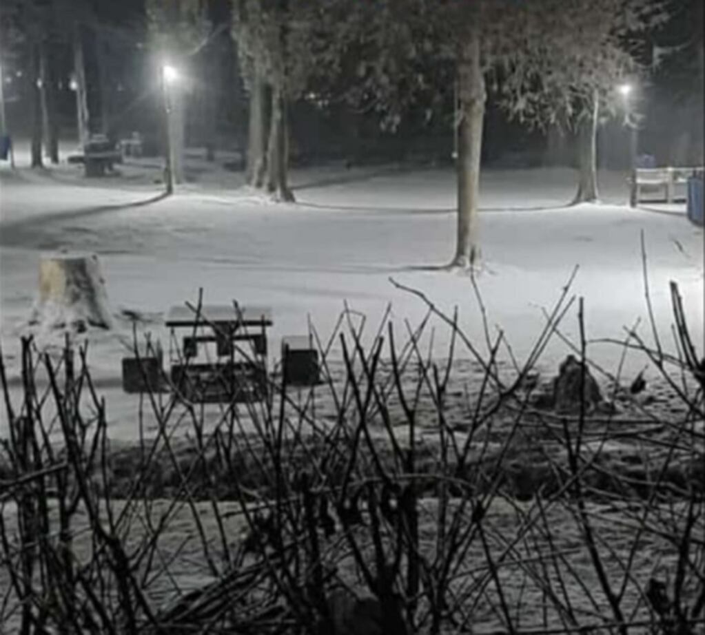 Durante la noche del martes se registró una importante nevada en el Manzano Histórico.