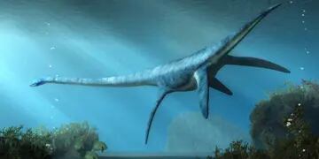 Plesiosaurios