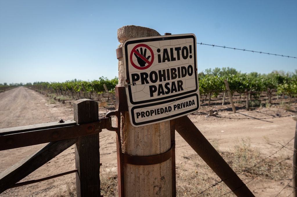 Los productores están preocupados por la violencia. - Foto: Ignacio Blanco / Los Andes 