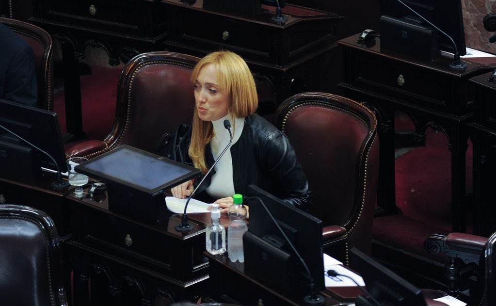 Anabel Fernandez Sagasti de Mendoza en el Senado . Argentina Foto Federico Lopez Claro