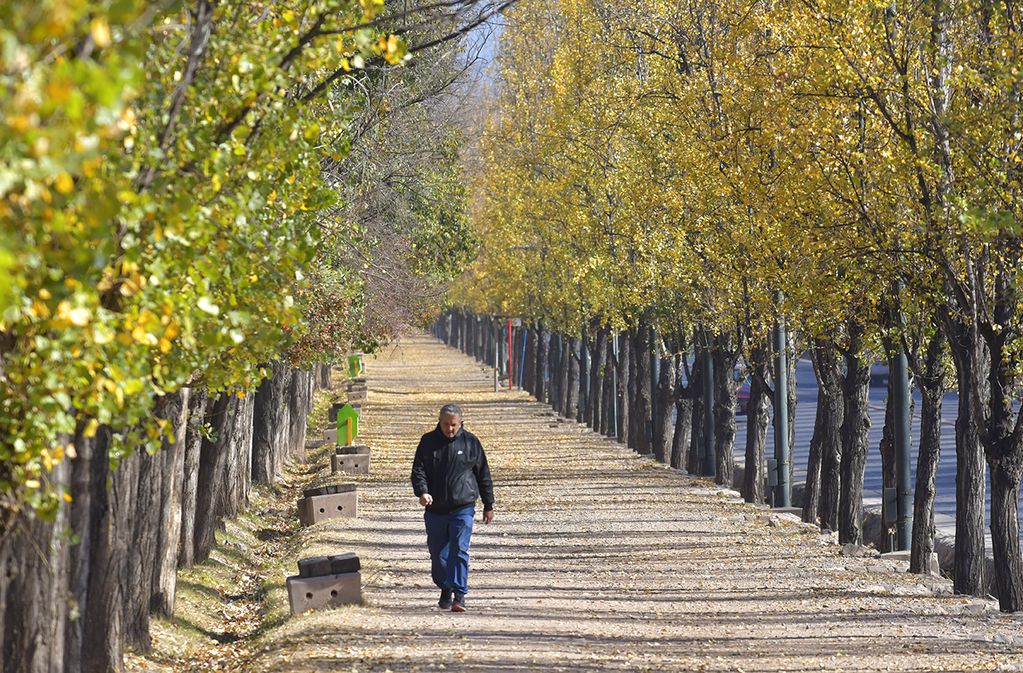 El otoño se hace esperar en Mendoza.
Foto:  Orlando Pelichotti

