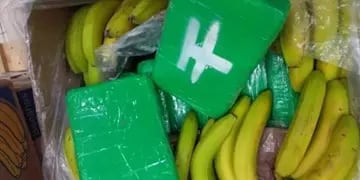 La policía checa incautó 840 kilos de cocaína ocultos en cajones de bananas