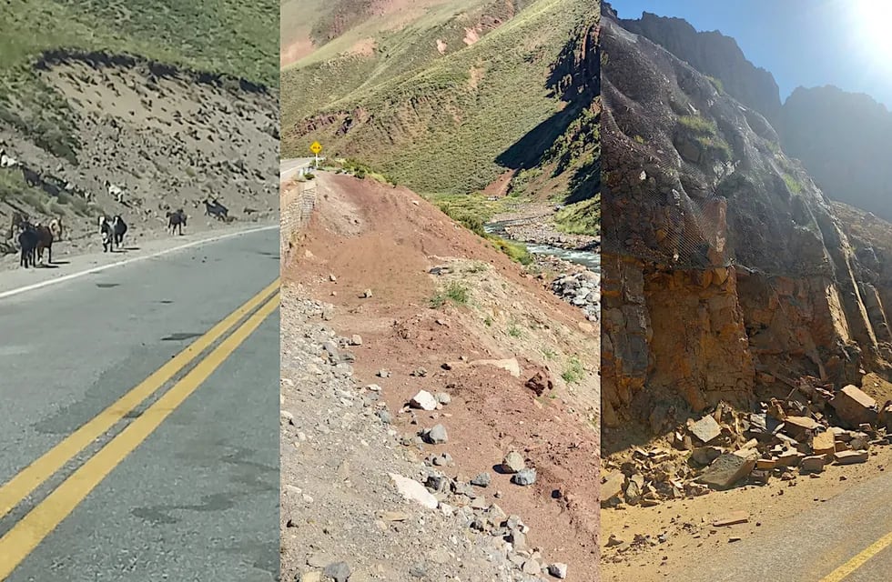 Un estudio binacional analizó los escenarios de riesgo en Paso Pehuenche en el sur de Mendoza. Foto: Gentileza