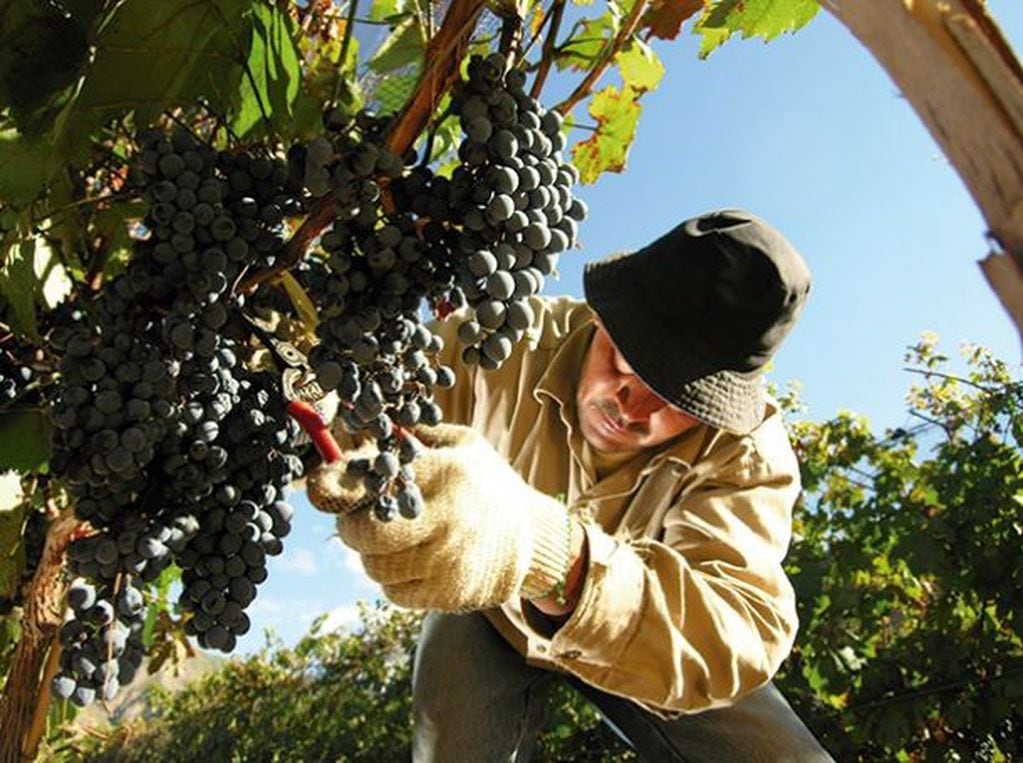 Crecen con fuerza las exportaciones de vino argentino\u002E (Secretaría de Agroindustria)