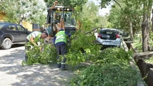 Daños y trabajos en Lavalle tras la fuerte tormenta de granizo