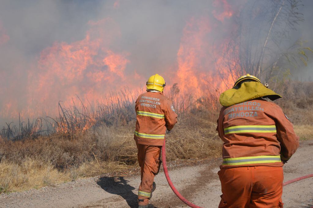 En Guaymallén los bomberos lucharon contra varios focos de incendio el día lunes.
