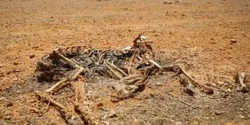 Somalía sequía