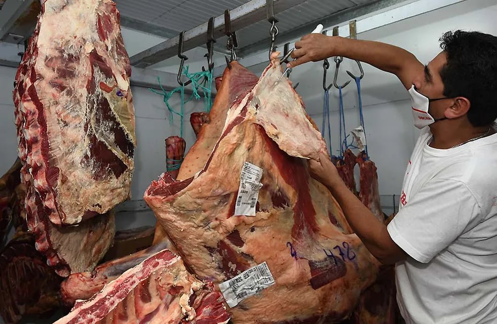 Carniceria de FRIAR que tiene a la venta carne de precios cuidados, ubicada en  Calle Saavedra de Guaymallen Foto: José Gutierrez / Los Andes