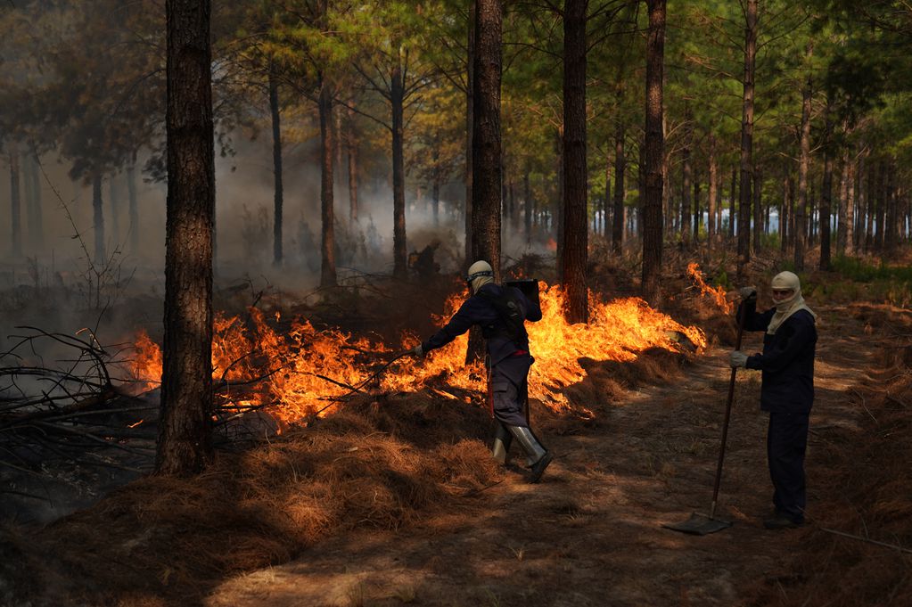 Incendios en la provincia de Corrientes
Bomberos y lugareños combaten el fuego en Corrientes FOTO CLARIN