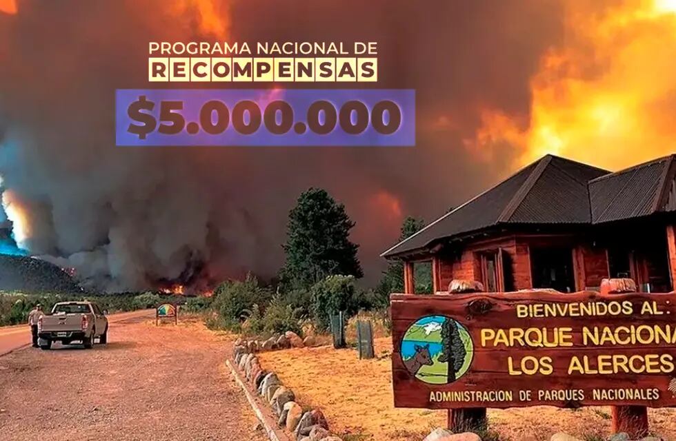 Millonaria recompensa para saber quién originó el incendio en el Parque Nacional Los Alerces.