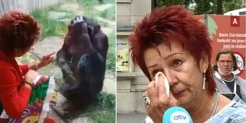 Insólito: vivió un “romance” con un chimpancé durante cuatro años y le prohibieron ingresar al zoo