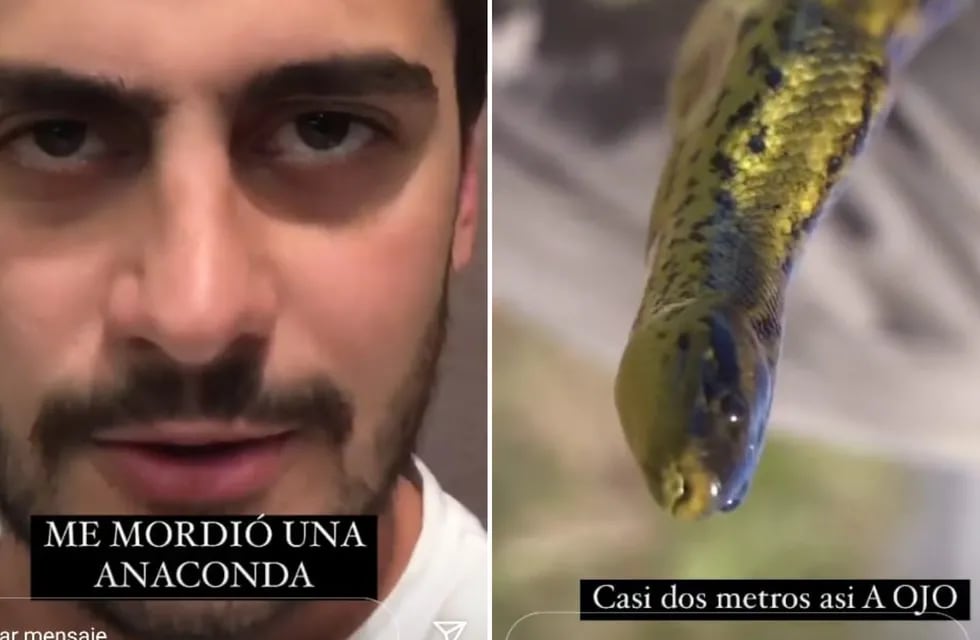 El youtuber Damián Kuc fue atacado por una anaconda.